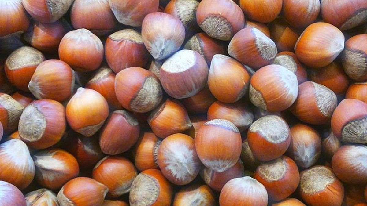 Illustration picture