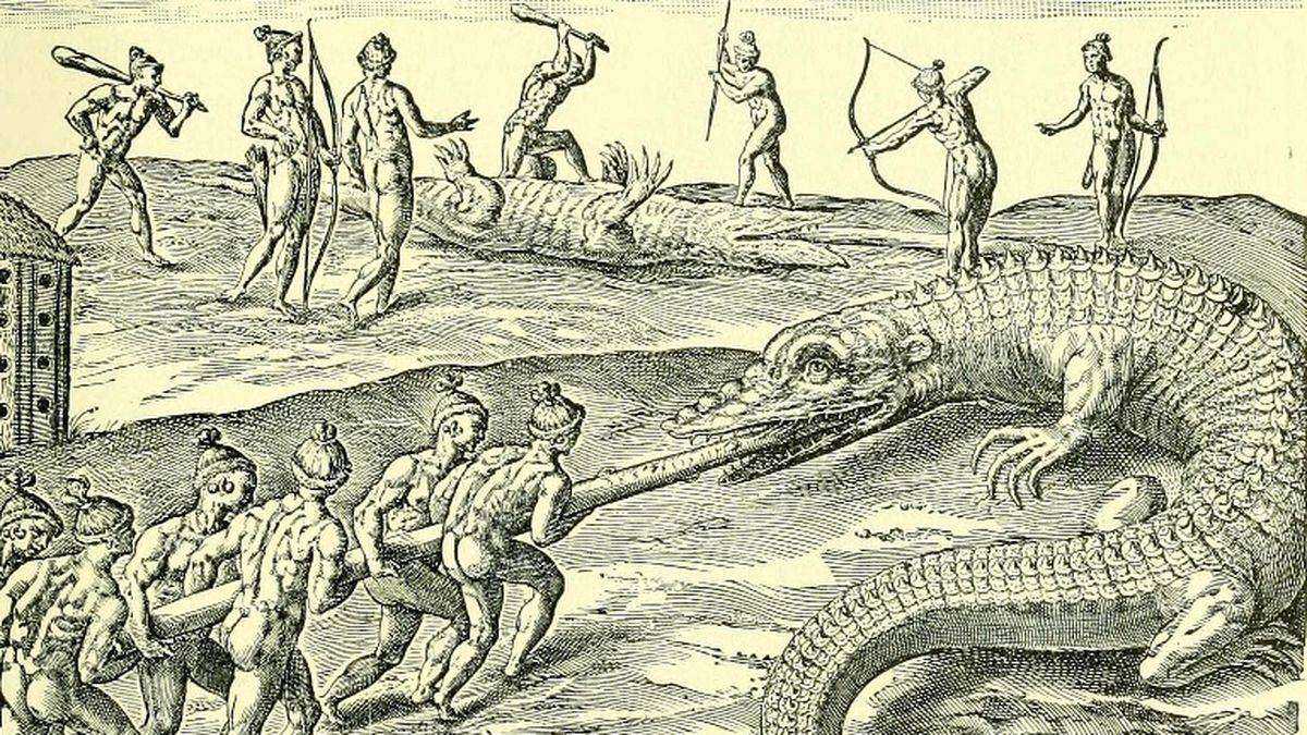 Image d'illustration