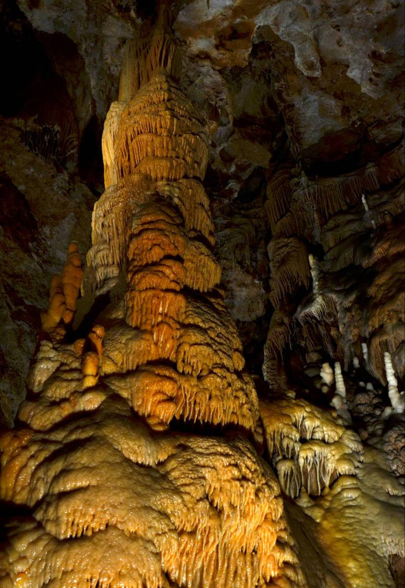 Détail des concrétions de Dargilan